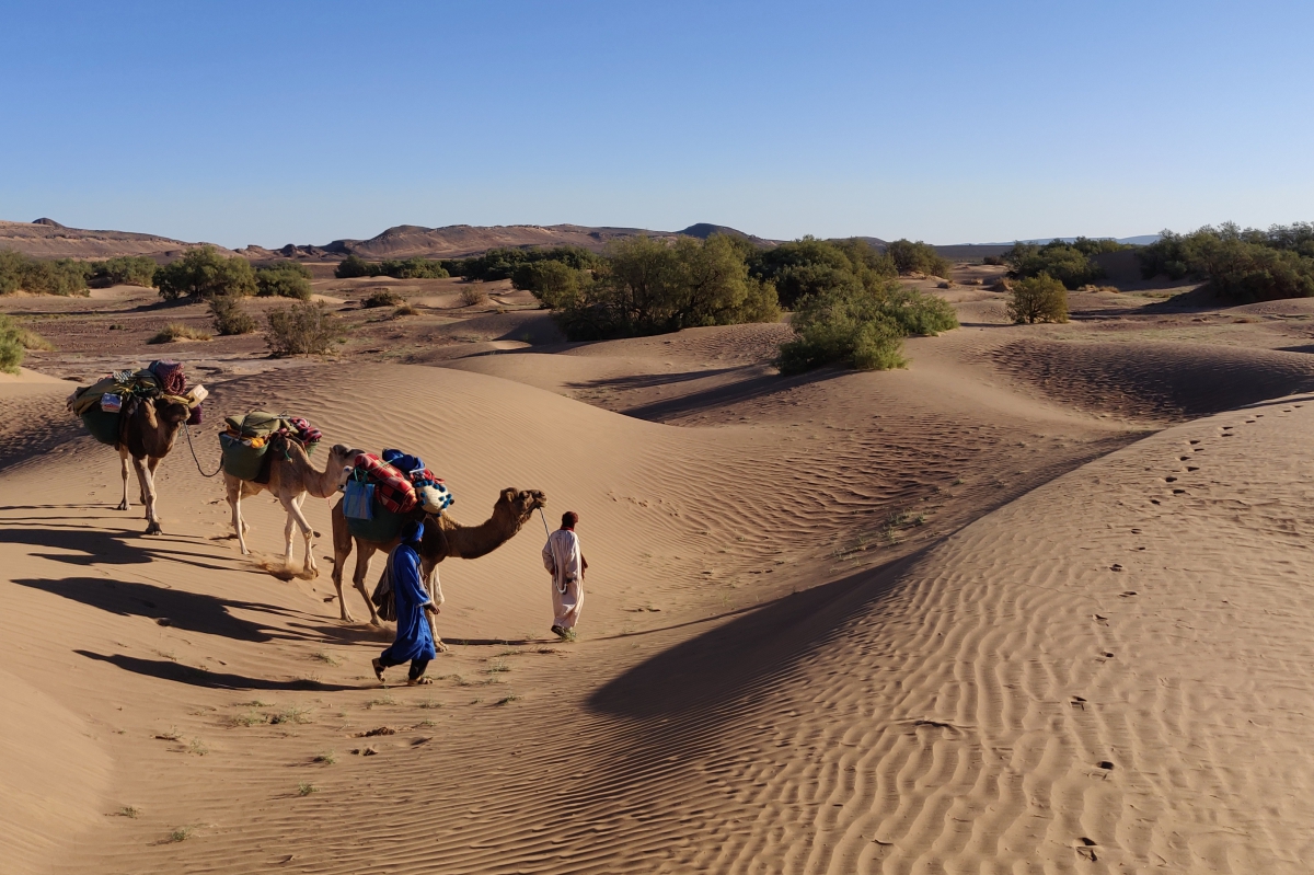 sahara desert adventure