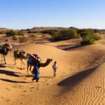 3 camels in a caravan waling through the dunes with a few bushes in the background. two men in traditional desert clothes are leading the camels. Camel trekking with Berber Adventure tours in the Moroccan Sahara.
